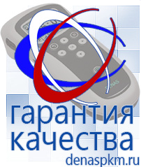 Официальный сайт Денас denaspkm.ru Выносные электроды Дэнас-аппликаторы в Петропавловске-камчатском